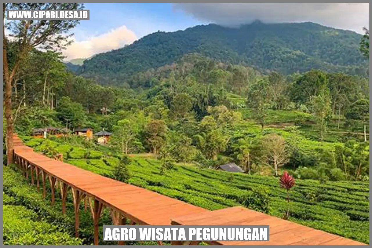 Agro Wisata Pegunungan