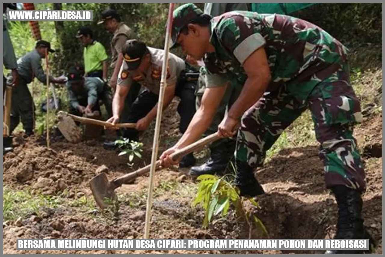 Bersama Melindungi Hutan Desa cipari: Program Penanaman Pohon dan Reboisasi