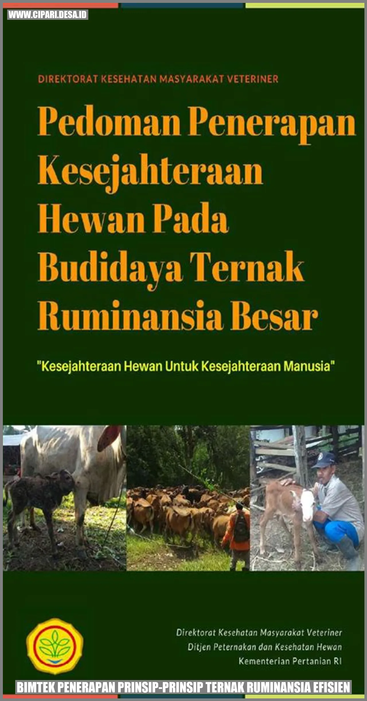 Bimtek Penerapan Prinsip-Prinsip Ternak Ruminansia Efisien