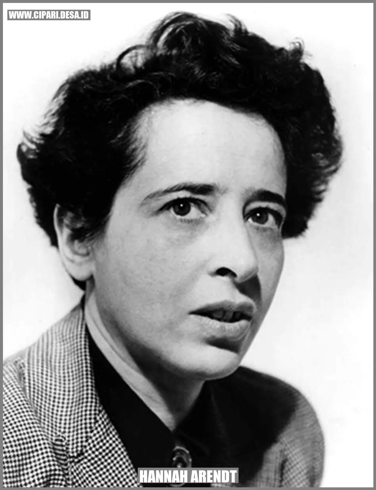 Hannah Arendt