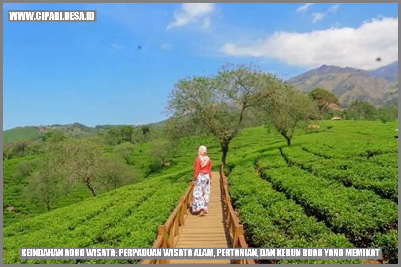 Keindahan Agro Wisata: Perpaduan Wisata Alam, Pertanian, dan Kebun Buah ...