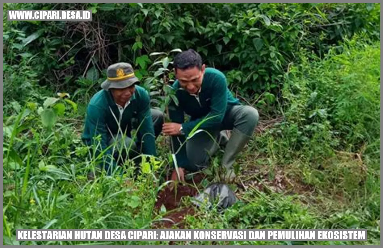 Kelestarian Hutan Desa cipari: Ajakan Konservasi dan Pemulihan Ekosistem