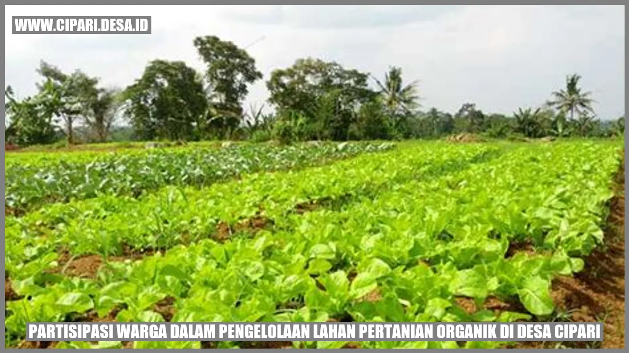 Partisipasi Warga dalam Pengelolaan Lahan Pertanian Organik di Desa Cipari