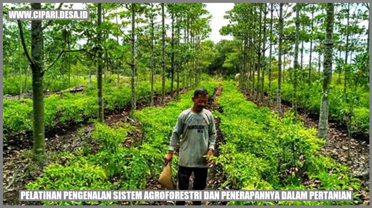 Pelatihan Pengenalan Sistem Agroforestri dan Penerapannya dalam Pertanian