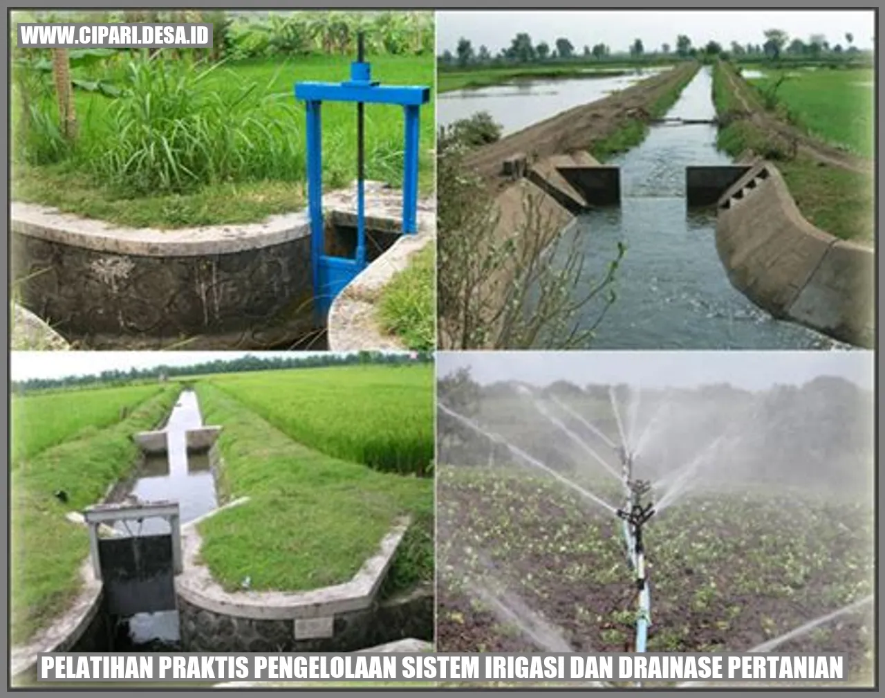 Pelatihan Praktis Pengelolaan Sistem Irigasi Dan Drainase Pertanian ...