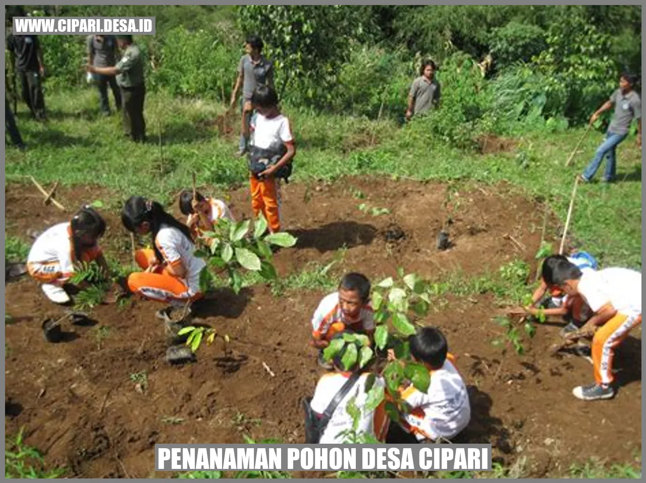 Penanaman Pohon Desa Cipari