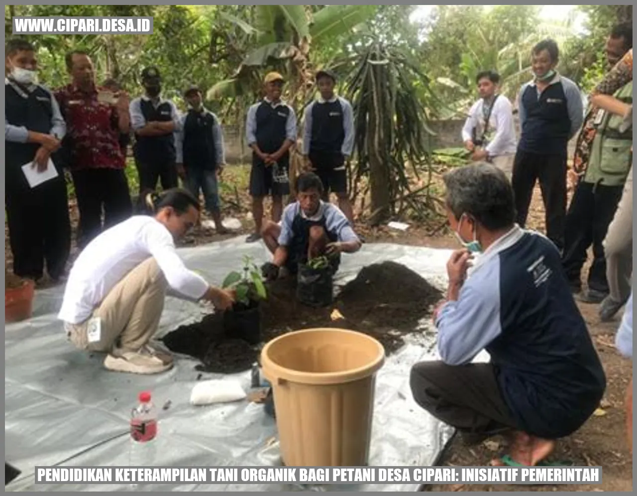 Pendidikan Keterampilan Tani Organik bagi Petani Desa Cipari