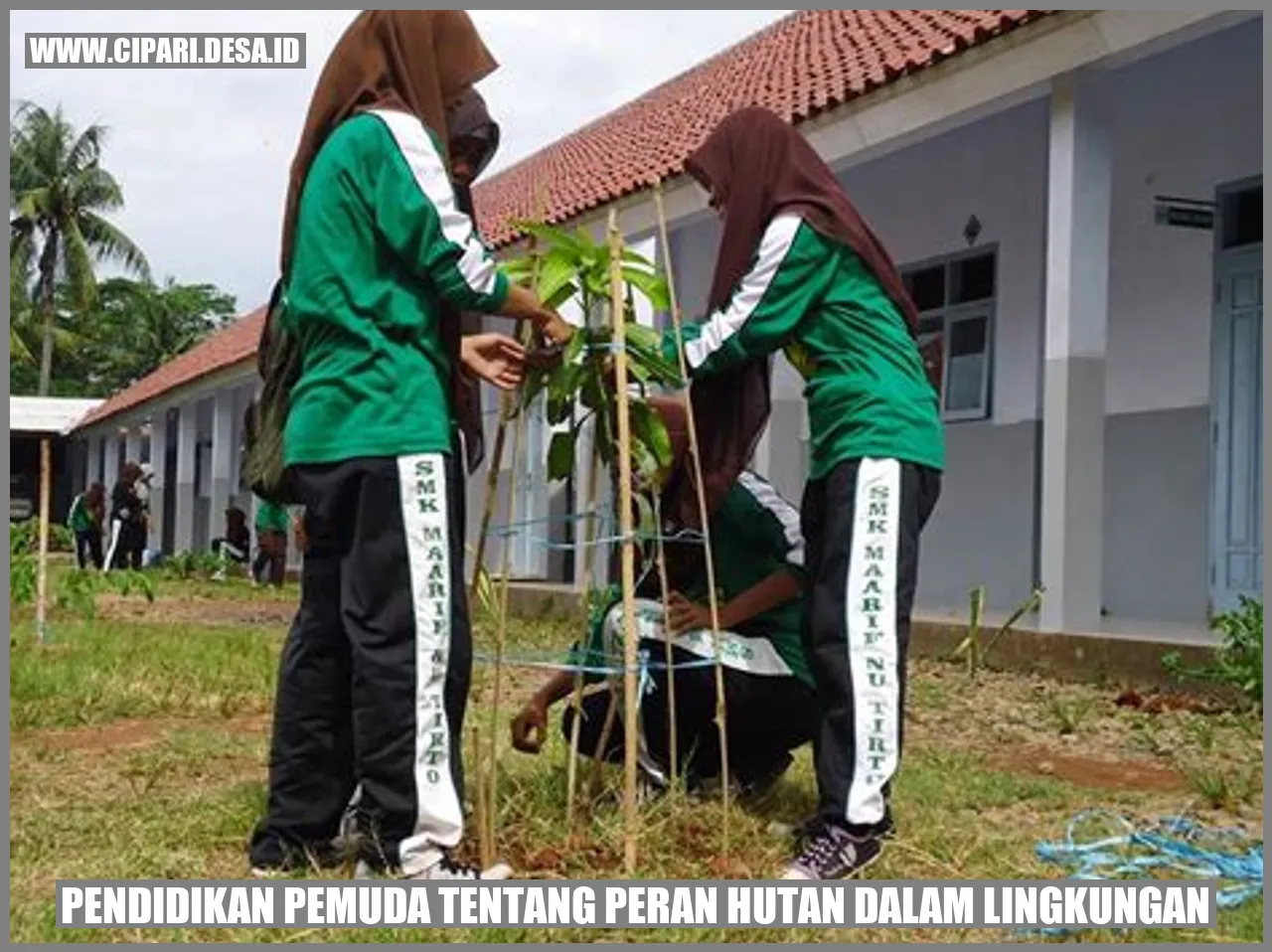 Pentingnya peran hutan dalam keanekaragaman hayati