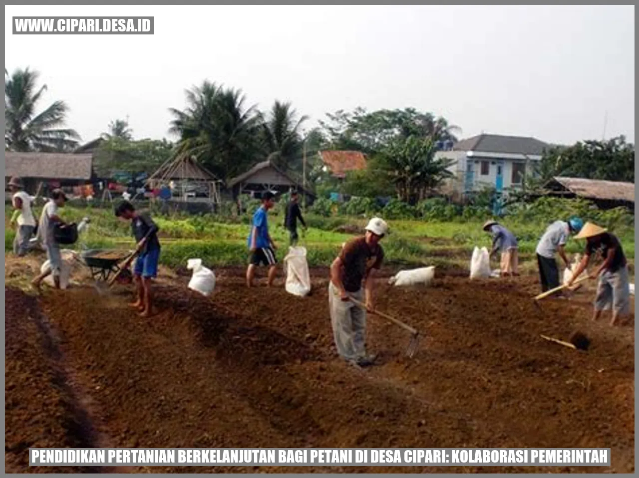 Pendidikan Pertanian Berkelanjutan bagi Petani di Desa Cipari