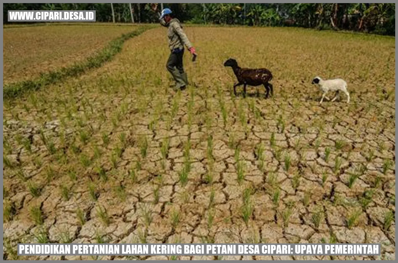 Pendidikan Pertanian Lahan Kering bagi Petani Desa Cipari: Upaya Pemerintah