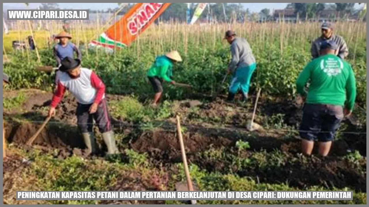 Peningkatan Kapasitas Petani dalam Pertanian Berkelanjutan di Desa Cipari: Dukungan Pemerintah