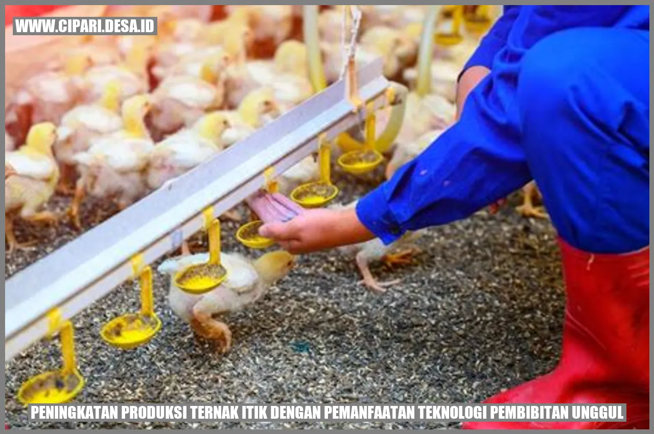 Peningkatan Produksi Ternak Itik dengan Pemanfaatan Teknologi Pembibitan Unggul