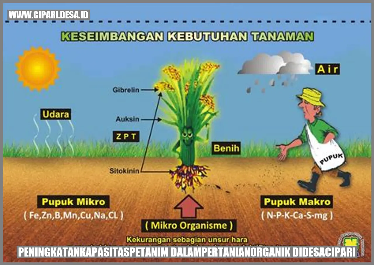 Peningkatan Kapasitas Petani dalam Pertanian Organik di Desa Cipari