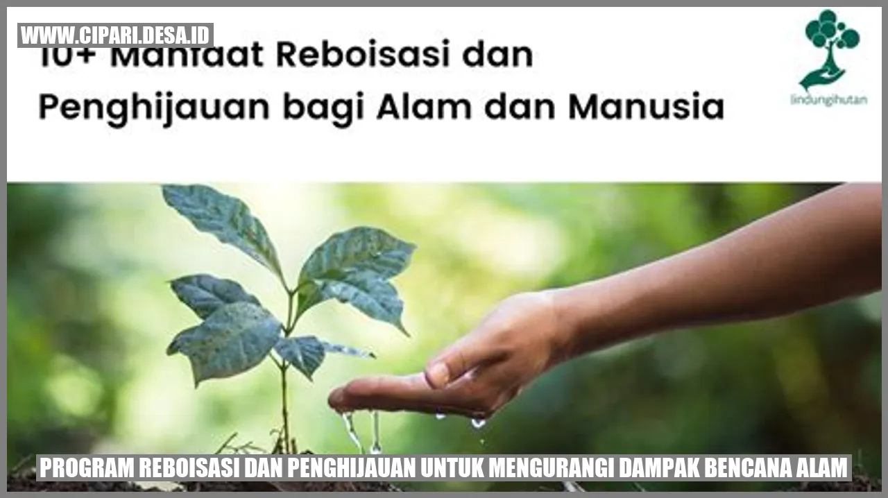 Program Reboisasi dan Penghijauan untuk Mengurangi Dampak Bencana Alam